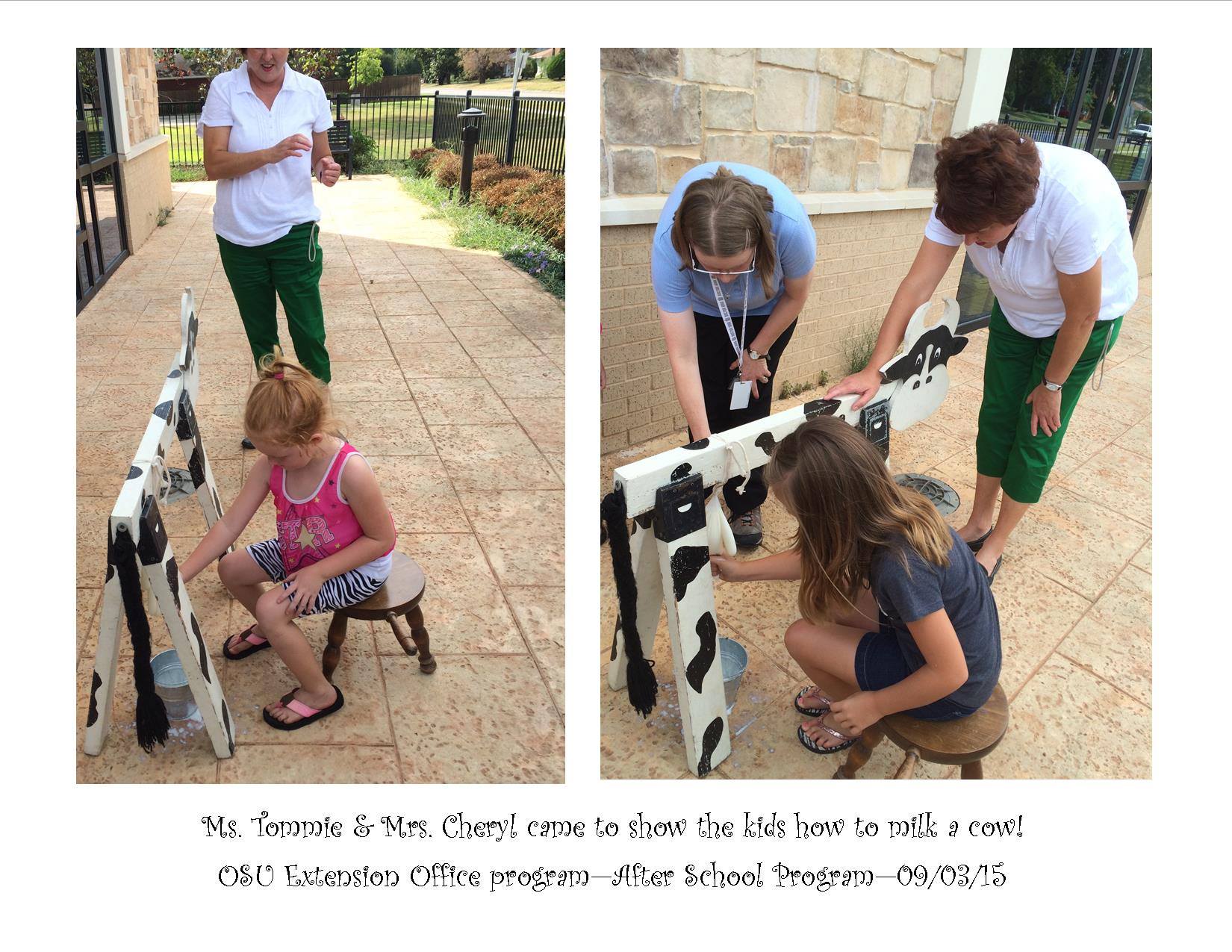 after school kids milking a cow