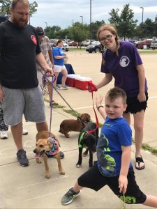 DARA dogs with volunteers