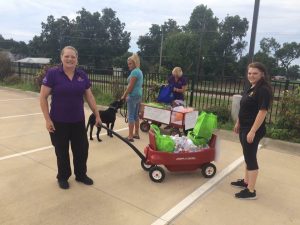 LaQuinta Inn & Suites with dogs & donations