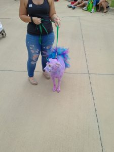Trixie the unicorn
