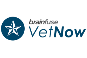 brainfuse vetnow