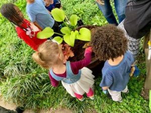 kids at library plants